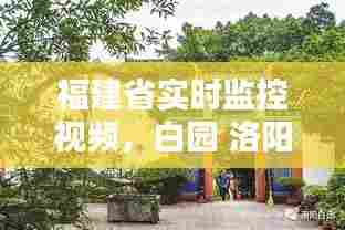 福建省实时监控视频,白园 洛阳