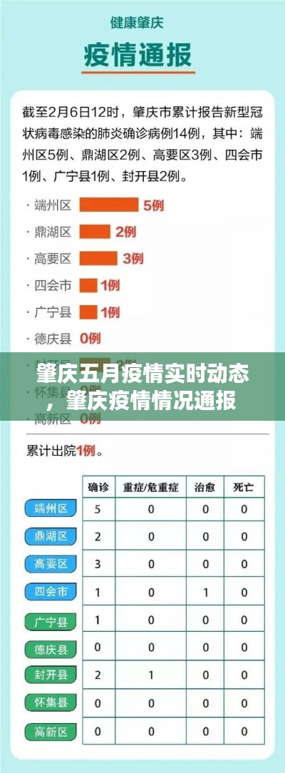 肇庆五月疫情实时动态,肇庆疫情情况通报