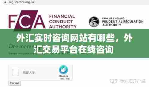 外汇实时咨询网站有哪些,外汇交易平台在线咨询