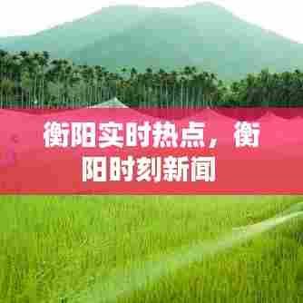 衡阳实时热点,衡阳时刻新闻