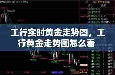 工行实时黄金走势图，工行黄金走势图怎么看 