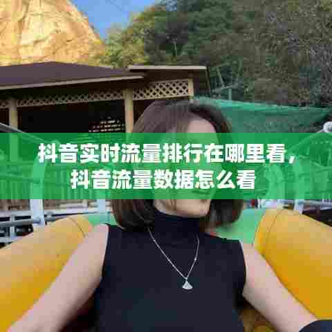 抖音实时流量排行在哪里看,抖音流量数据怎么看