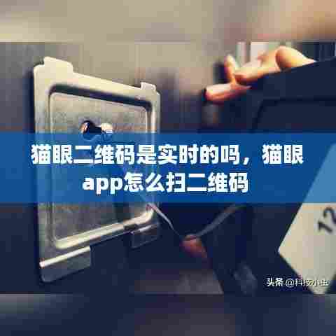 猫眼二维码是实时的吗,猫眼app怎么扫二维码