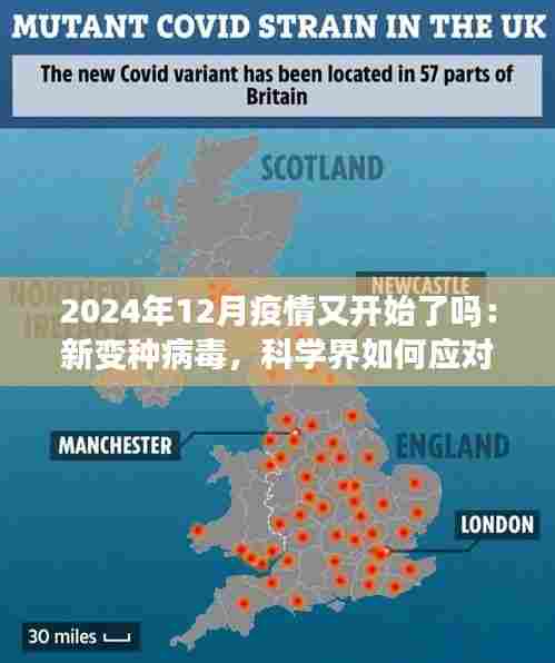2024年12月疫情又开始了吗:新变种病毒,科学界如何应对