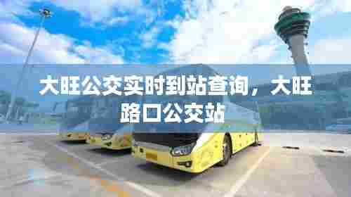 大旺公交实时到站查询，大旺路口公交站 