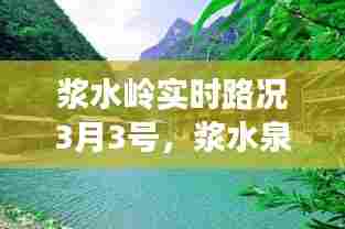 浆水岭实时路况3月3号,浆水泉风景区最新消息