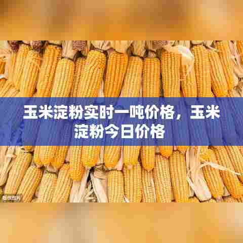 玉米淀粉实时一吨价格,玉米淀粉今日价格