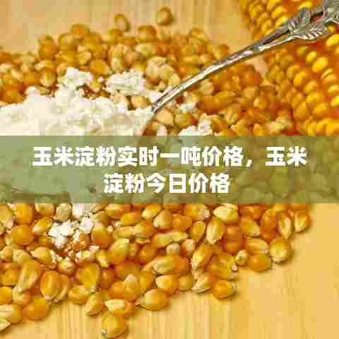玉米淀粉实时一吨价格,玉米淀粉今日价格