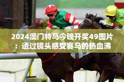 2024澳门特马今晚开奖49图片:透过镜头感受赛马的热血沸腾