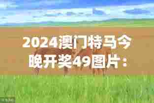 2024澳门特马今晚开奖49图片：马背上的荣耀与梦想
