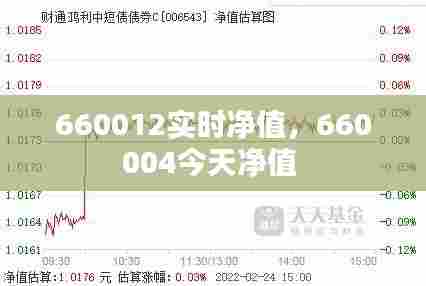 660012实时净值，660004今天净值 