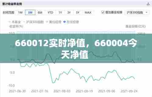 660012实时净值,660004今天净值