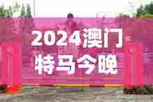 2024澳门特马今晚开:马术运动的独特风采