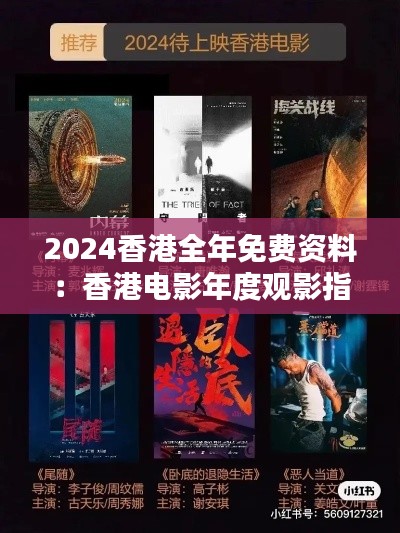 2024香港全年免费资料:香港电影年度观影指南