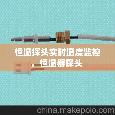 恒温探头实时温度监控,恒温器探头