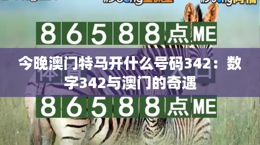 今晚澳门特马开什么号码342:数字342与澳门的奇遇