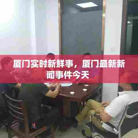 厦门实时新鲜事,厦门最新新闻事件今天