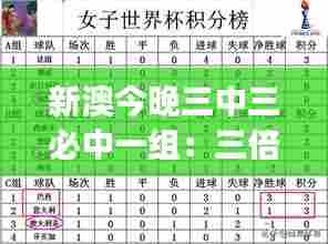 新澳今晚三中三必中一组:三倍增效的理财计划