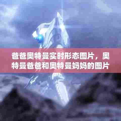 爸爸奥特曼实时形态图片，奥特曼爸爸和奥特曼妈妈的图片 