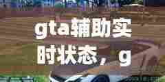 gta辅助实时状态,gtaevo辅助