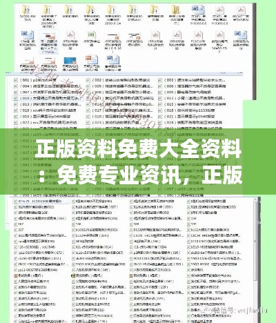 正版资料免费大全资料：免费专业资讯，正版资料全方位