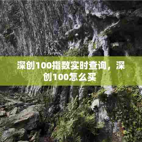 深创100指数实时查询,深创100怎么买