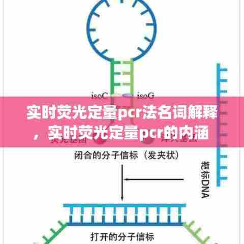 实时荧光定量pcr法名词解释,实时荧光定量pcr的内涵