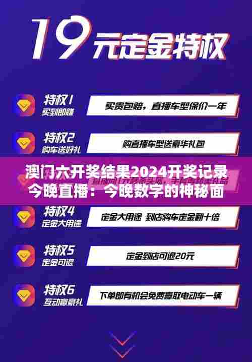 澳门六开奖结果2024开奖记录今晚直播:今晚数字的神秘面纱