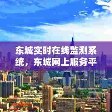 东城实时在线监测系统,东城网上服务平台