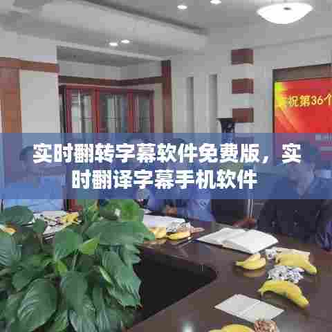 实时翻转字幕软件免费版,实时翻译字幕手机软件