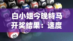 白小姐今晚特马开奖结果:速度与勇气的较量结果