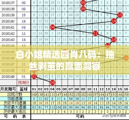 白小姐精选四肖八码:抽丝剥茧的赢面洞察