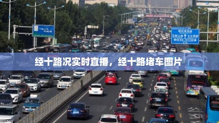 经十路况实时直播,经十路堵车图片