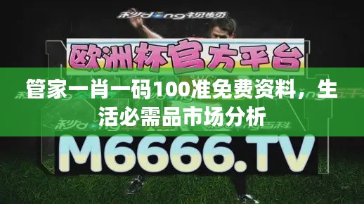 管家一肖一码100准免费资料,生活必需品市场分析