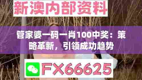 管家婆一码一肖100中奖:策略革新,引领成功趋势
