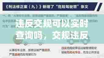 违反交规可以实时查询吗,交规违反后几日能接到通知