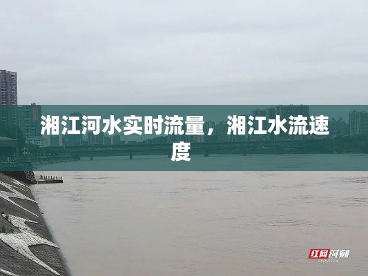 湘江河水实时流量,湘江水流速度