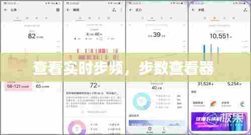 查看实时步频,步数查看器