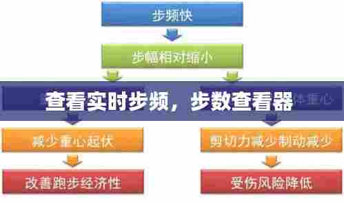 查看实时步频,步数查看器