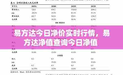 易方达今日净价实时行情,易方达净值查询今日净值