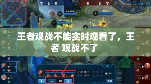 王者观战不能实时观看了,王者 观战不了
