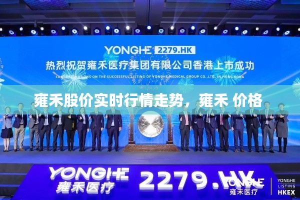 雍禾股价实时行情走势,雍禾 价格