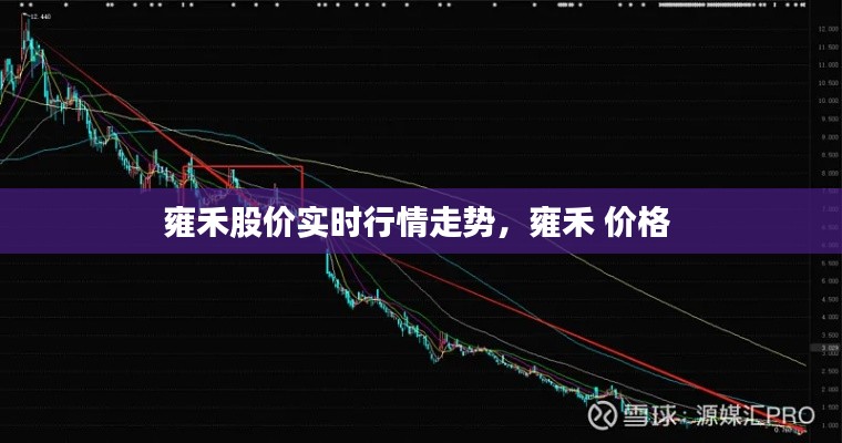 雍禾股价实时行情走势,雍禾 价格