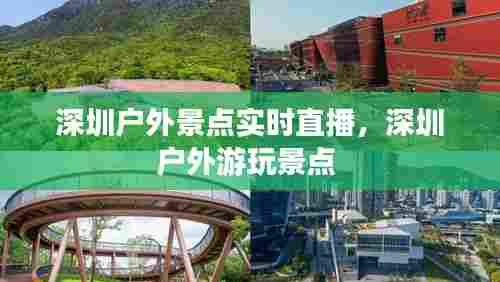 深圳户外景点实时直播,深圳户外游玩景点