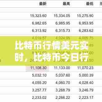 比特币行情美元实时，比特币今日行情美元走势图 