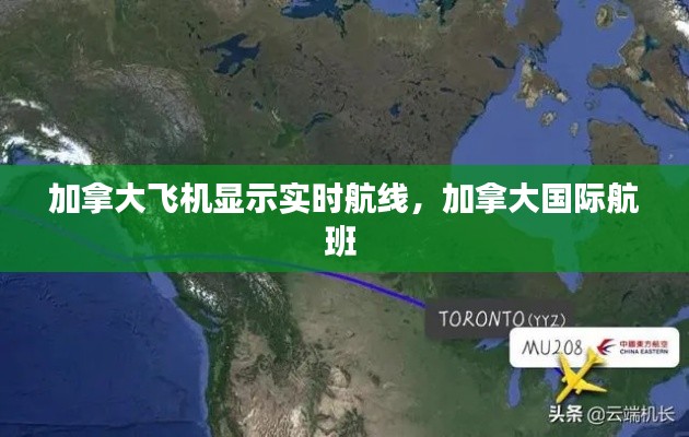 加拿大飞机显示实时航线,加拿大国际航班