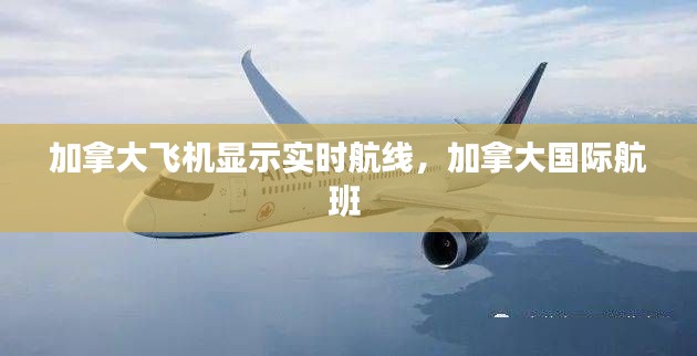 加拿大飞机显示实时航线,加拿大国际航班