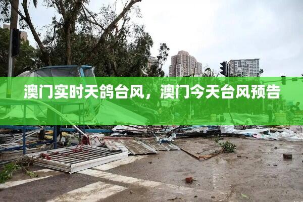 澳门实时天鸽台风，澳门今天台风预告 