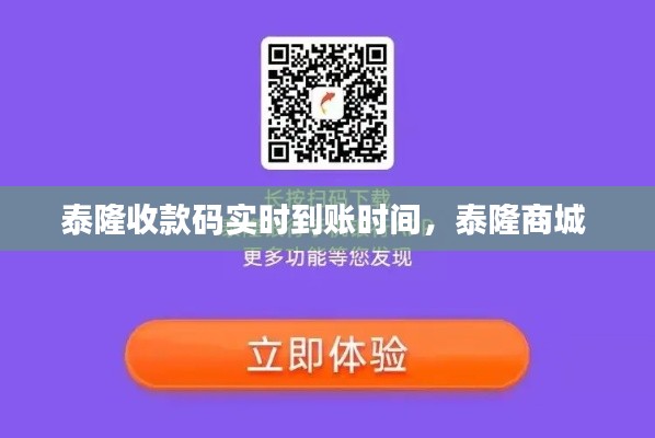 泰隆收款码实时到账时间,泰隆商城