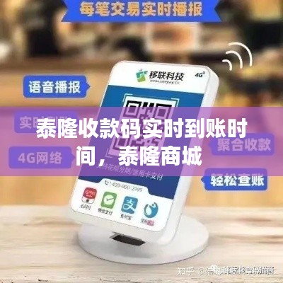 泰隆收款码实时到账时间,泰隆商城